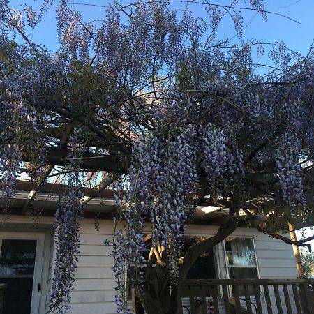 Wisteria Vine Cottage Monticello Exterior foto